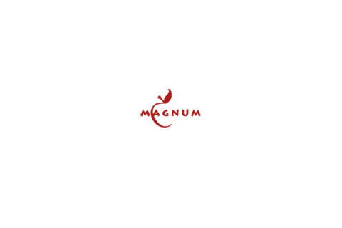 Magnum 1 Realty LLC